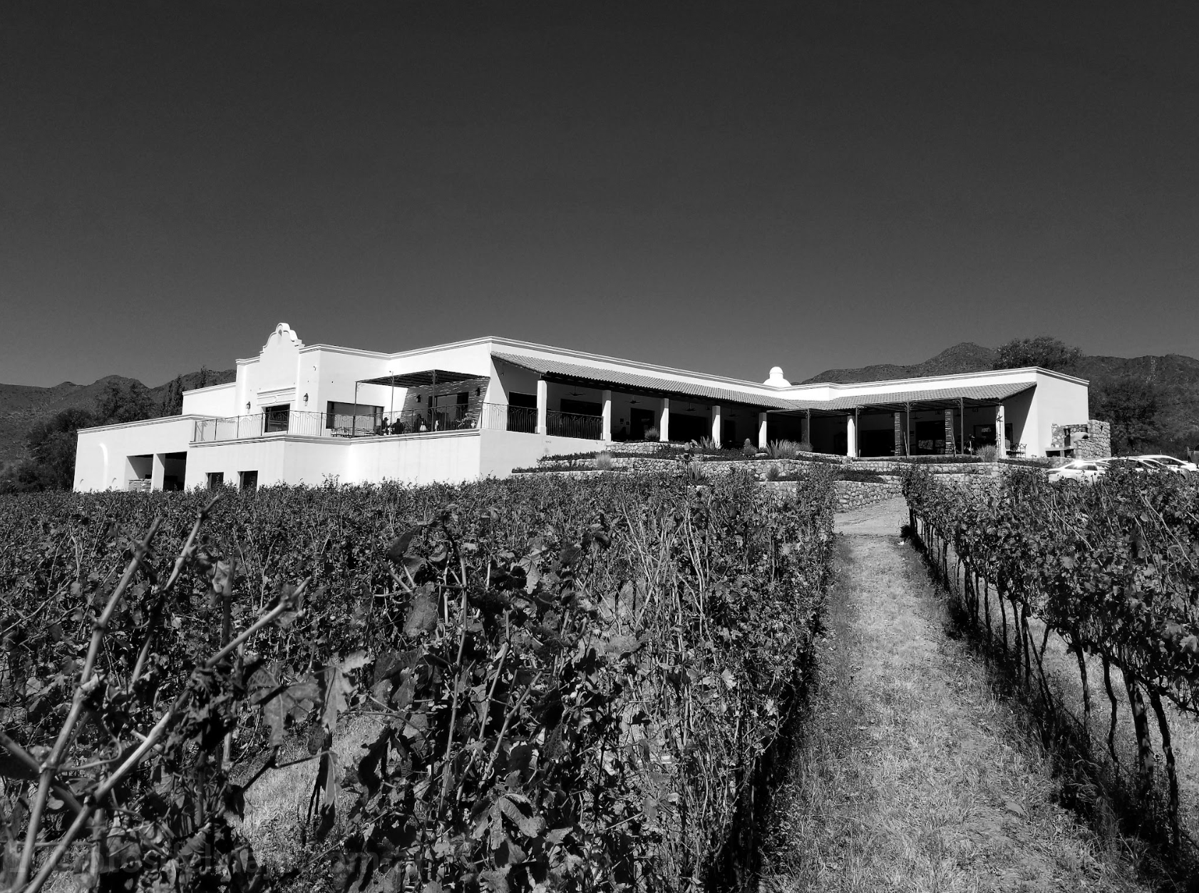 Restaurante Bodega Puna